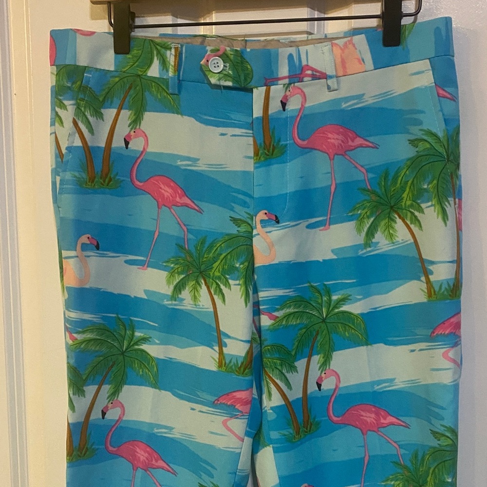 Mens Flamingo Pants